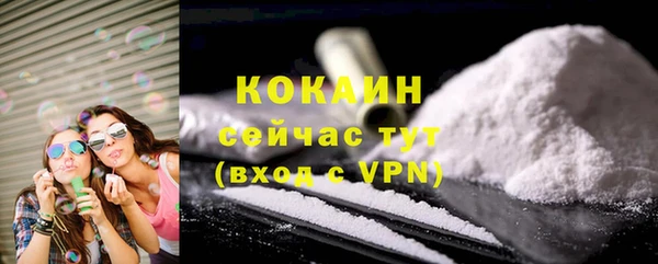 твердый Михайлов