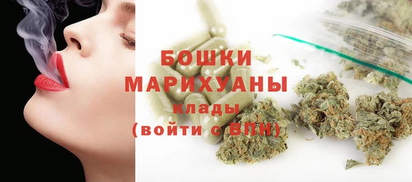твердый Михайлов