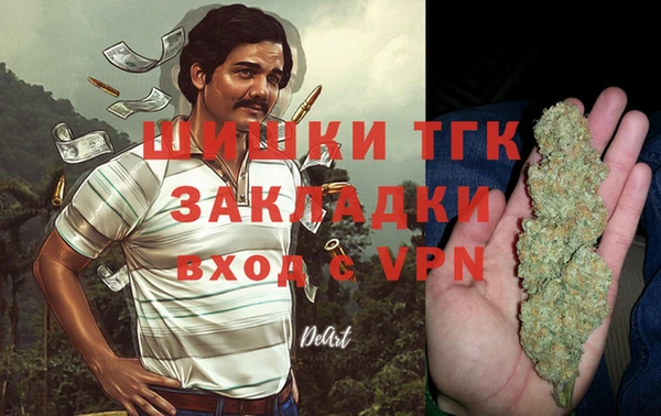 твердый Михайлов
