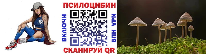 Псилоцибиновые грибы Cubensis  мега ссылки  Ангарск 