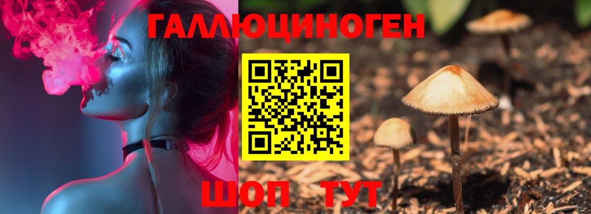 Галлюциногенные грибы Psilocybe  Ангарск 